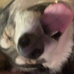 Meet your Posher, Ava